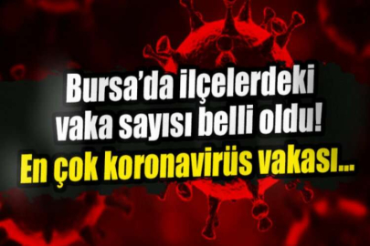 Bursa Valiliği'nden yeni koronavirüs kararları