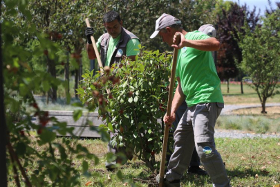 Sakarya’nın dört bir yanında estetik çalışmalar