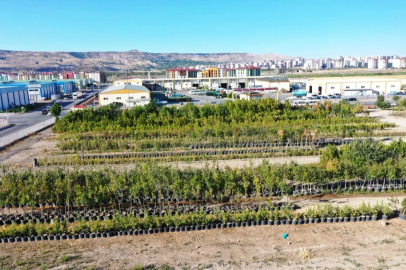 Başkan Çolakbayrakdar, “Yeşil ve daha yeşil bir Kayseri için çalışıyoruz”