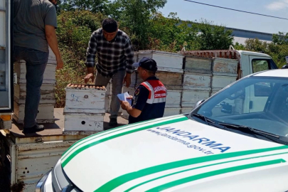 Edirne'de arıcılara önemli uyarı